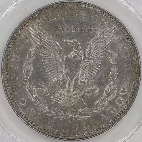 Morgan Silver Dollar