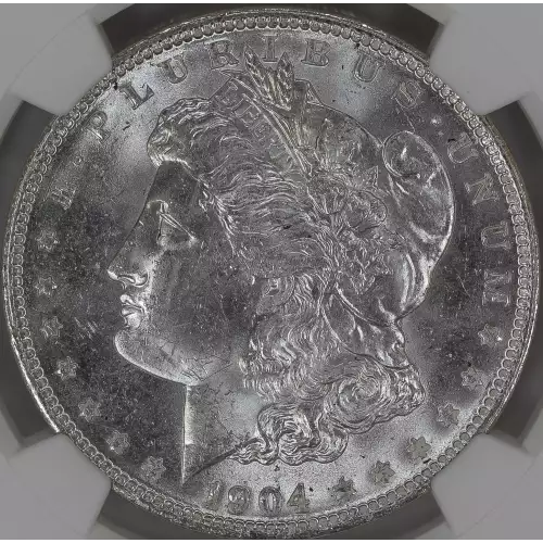 Morgan Silver Dollar