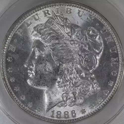 Morgan Silver Dollar