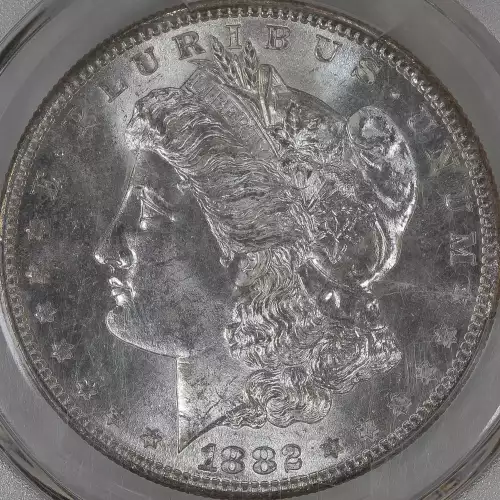 Morgan Silver Dollar