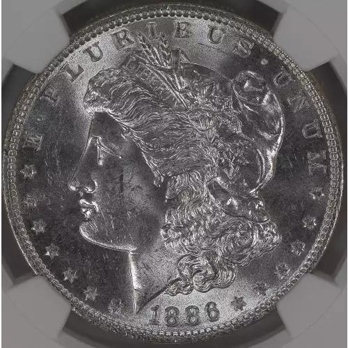 Morgan Silver Dollar