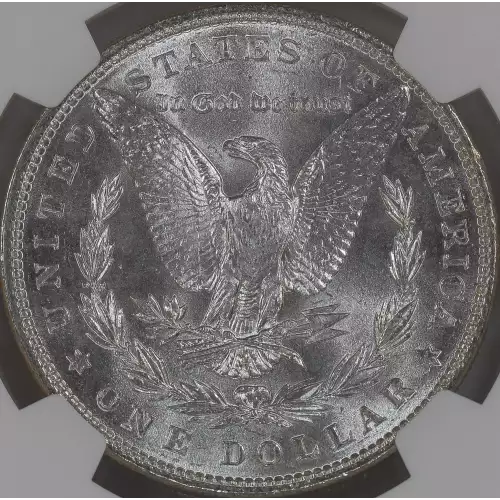 Morgan Silver Dollar