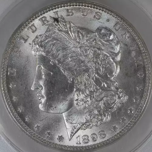 Morgan Silver Dollar