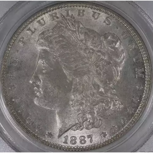 Morgan Silver Dollar