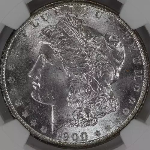 Morgan Silver Dollar