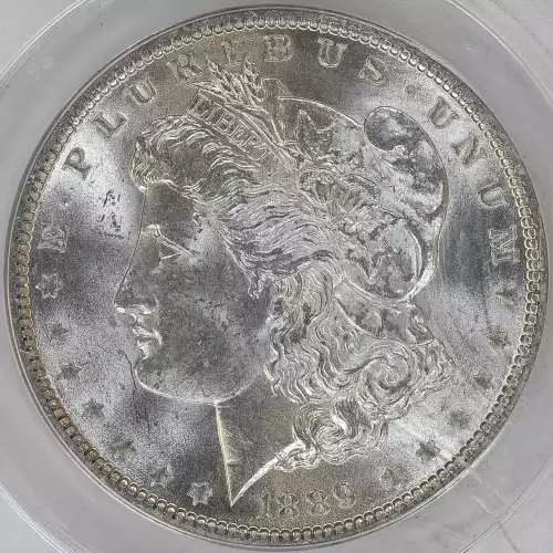 Morgan Silver Dollar