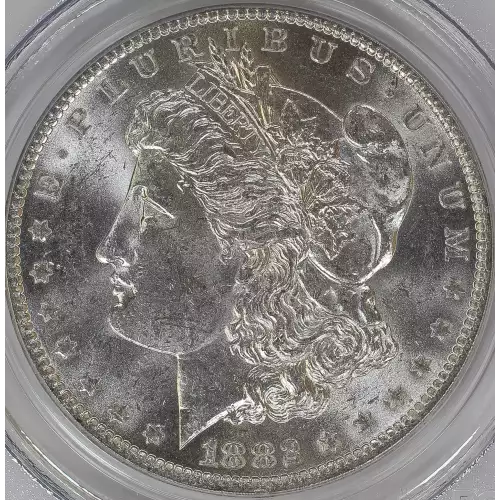 Morgan Silver Dollar