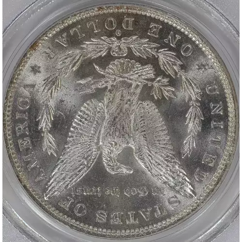 Morgan Silver Dollar