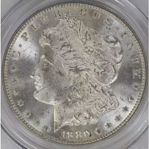 Morgan Silver Dollar