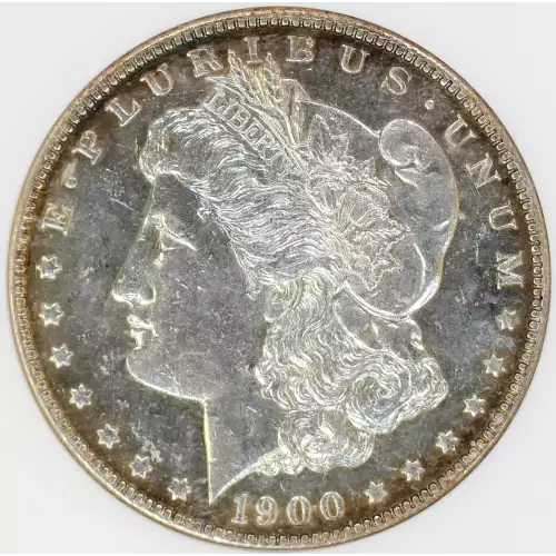 Morgan Silver Dollar