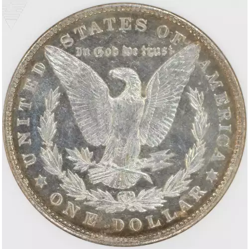 Morgan Silver Dollar