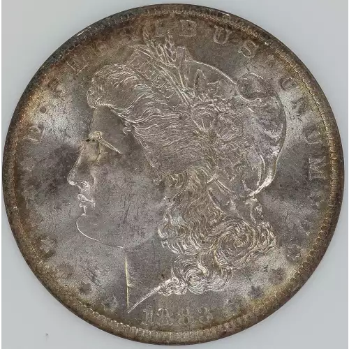 Morgan Silver Dollar