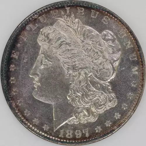 Morgan Silver Dollar