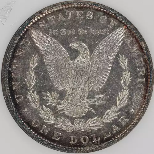 Morgan Silver Dollar