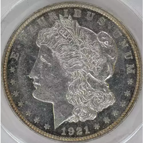 Morgan Silver Dollar