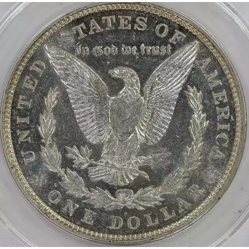 Morgan Silver Dollar