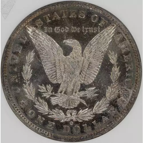 Morgan Silver Dollar