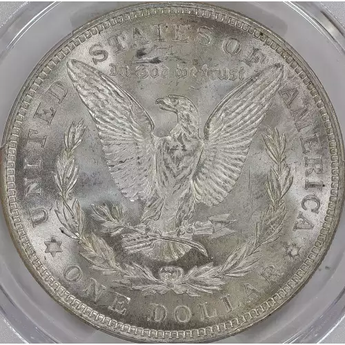 Morgan Silver Dollar