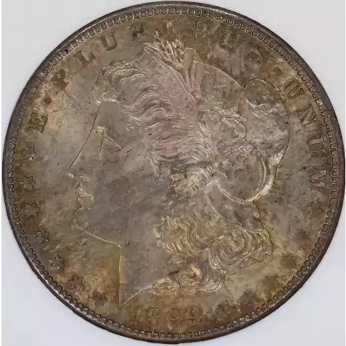 Morgan Silver Dollar