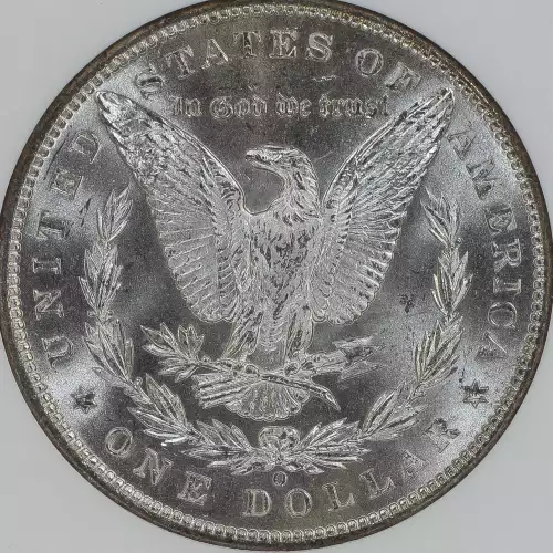 Morgan Silver Dollar