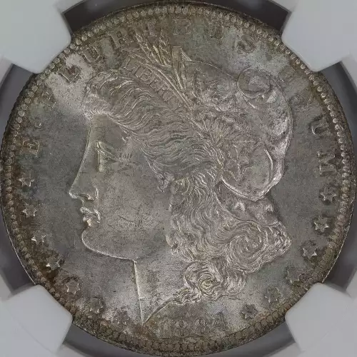 Morgan Silver Dollar