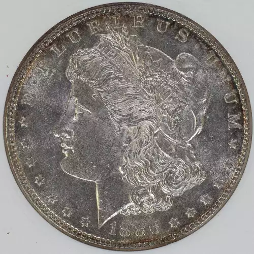 Morgan Silver Dollar