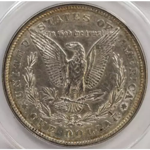 Morgan Silver Dollar