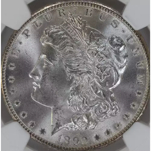 Morgan Silver Dollar