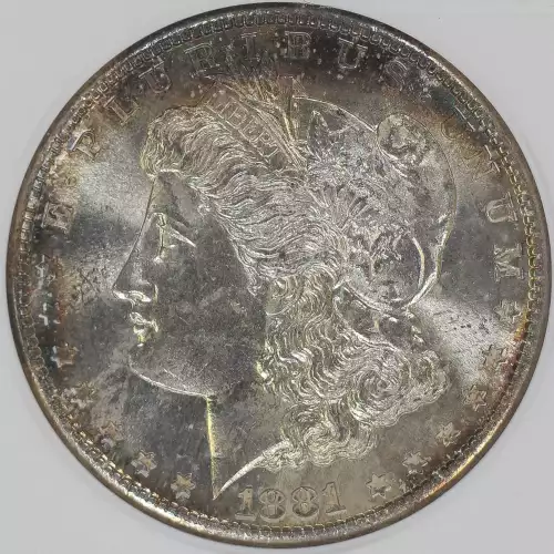 Morgan Silver Dollar