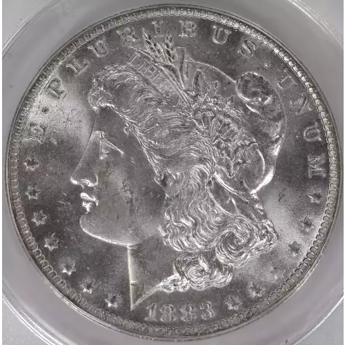 Morgan Silver Dollar (2)