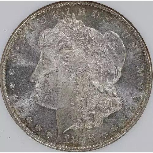 Morgan Silver Dollar (2)