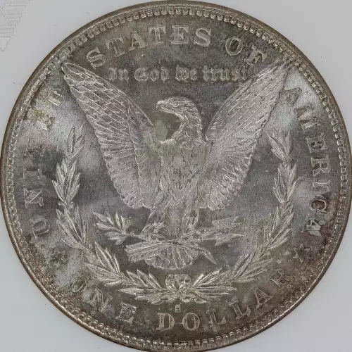 Morgan Silver Dollar (4)