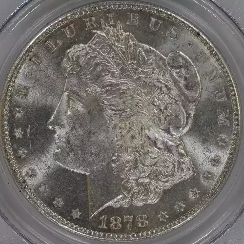 Morgan Silver Dollar