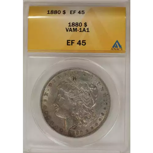 Morgan Silver Dollar