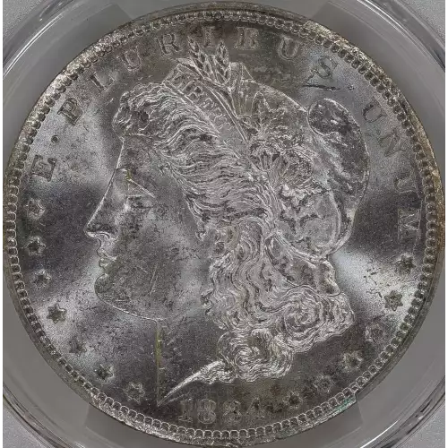 Morgan Silver Dollar