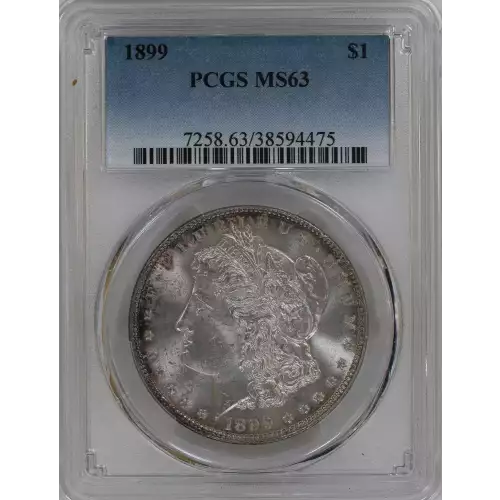 Morgan Silver Dollar