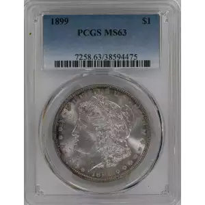 Morgan Silver Dollar