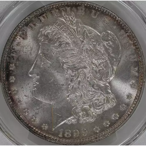 Morgan Silver Dollar