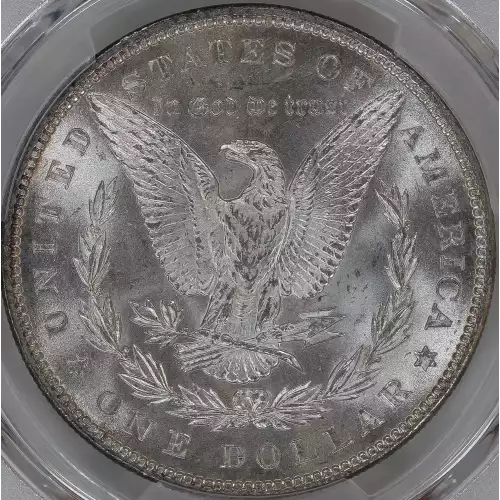 Morgan Silver Dollar