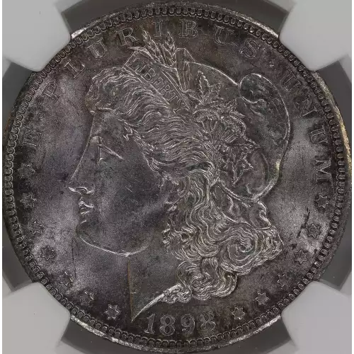 Morgan Silver Dollar