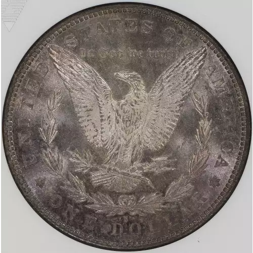 Morgan Silver Dollar