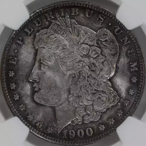 Morgan Silver Dollar