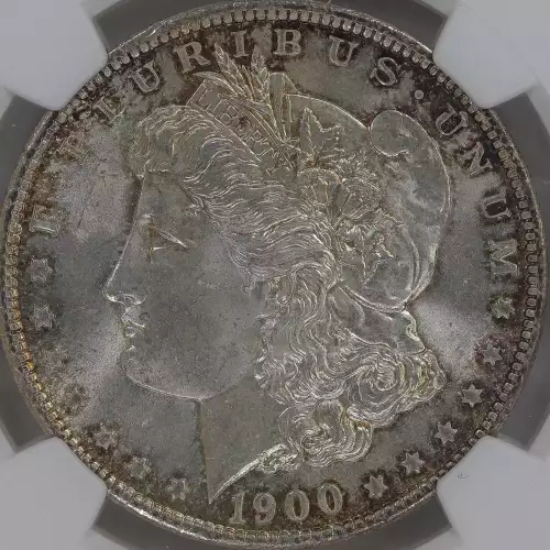 Morgan Silver Dollar