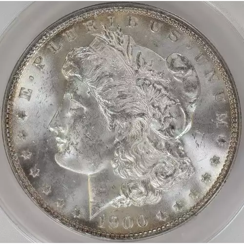 Morgan Silver Dollar