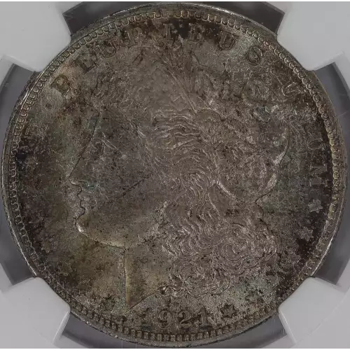 Morgan Silver Dollar