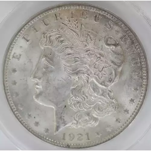 Morgan Silver Dollar