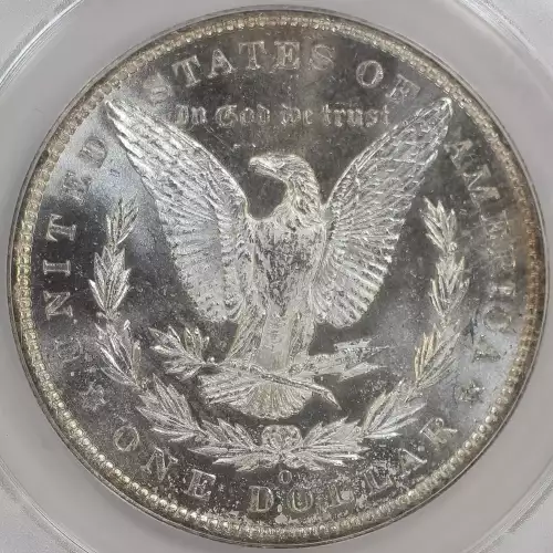 Morgan Silver Dollar