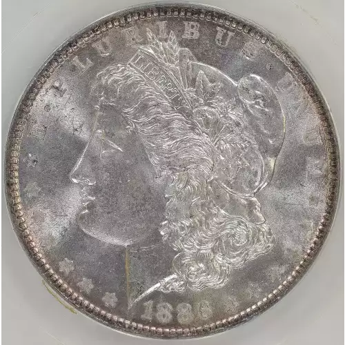 Morgan Silver Dollar (2)