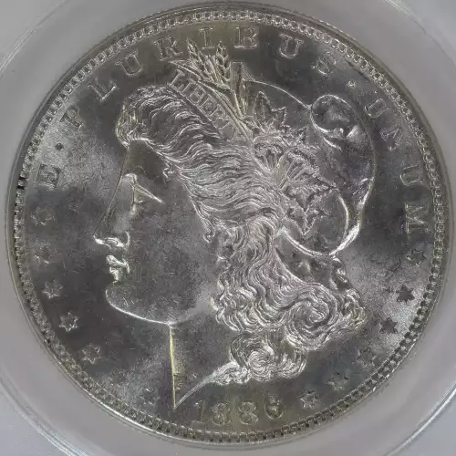 Morgan Silver Dollar