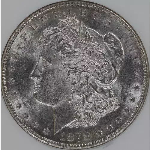 Morgan Silver Dollar